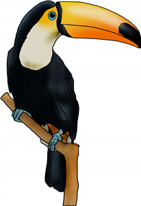 Perched Toucan