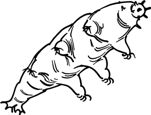 Tardigrade