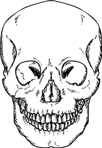 Forward Facing Skull