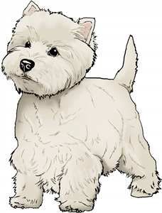 Westie Dog