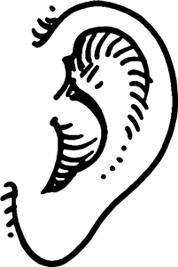 Ear