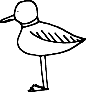 Seagull