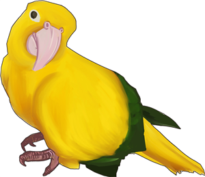 Golden Conure Parrot