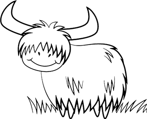 Highland Cow