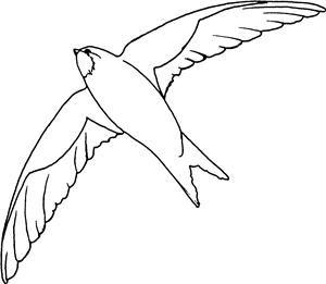 Flying Swallow