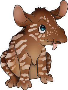 Baby Tapir
