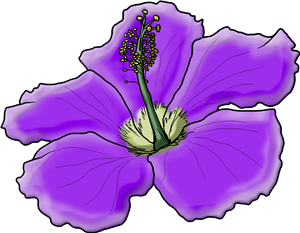 Purple Hibiscus Flower