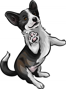 Cardigan Welsh Corgi