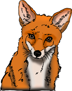 Fox Face