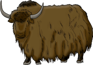 Yak