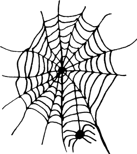 Spider Web