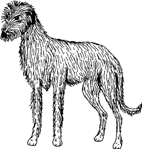 Lurcher