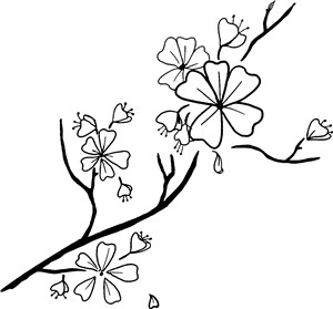 Cherry Blossom