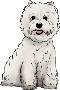 West Highland Terrier