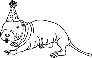Party Mole-rat