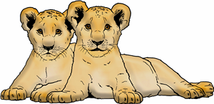 Lion Cub Siblings