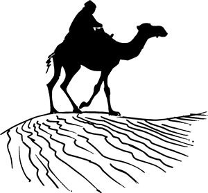 Camel Rider