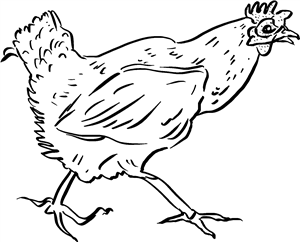 Running Chicken