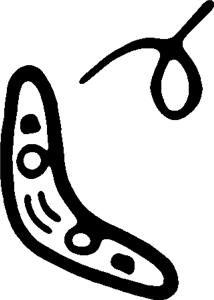 Flying Boomerang
