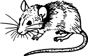 Cute Mouse