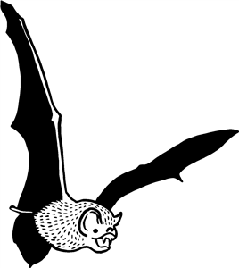 Flying Bat