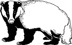 Badger