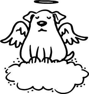 Angel Dog