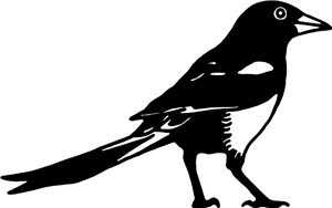 Magpie