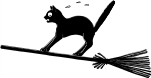 Scared Cat On Broomstick