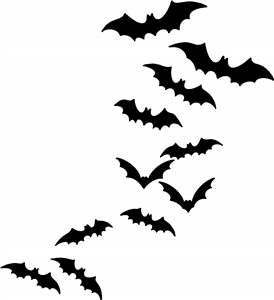 Bats