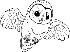 Flying Barn Owl
