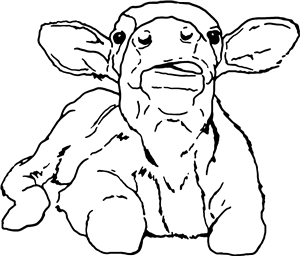 Cute Cow