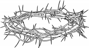 Crown Of Thorns
