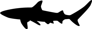 Shark Silhouette