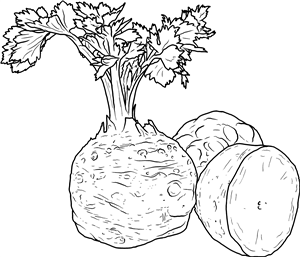 Celeriac