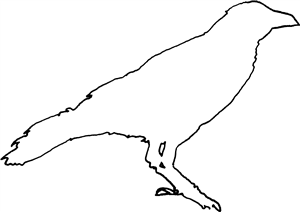 Crow Outline