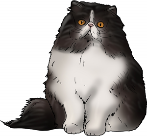 Persian Cat