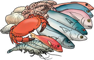 Seafood Selection