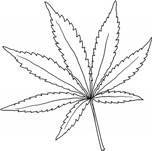 Hemp Leaf