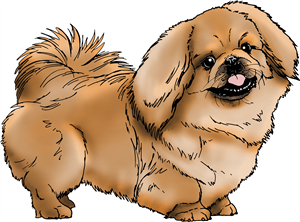 Pekinese Dog