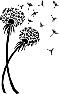 Dandelions