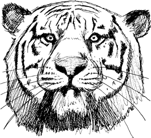 Tiger Face