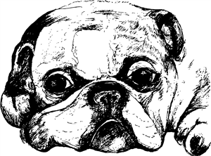 Sleepy Bulldog