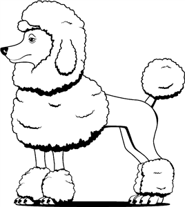 Poodle