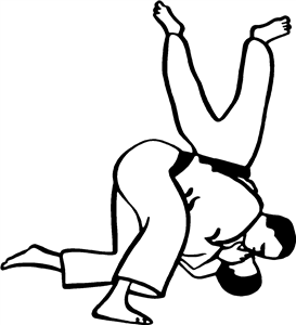 Judo Slam