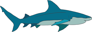 Shark