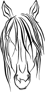 Horse Head
