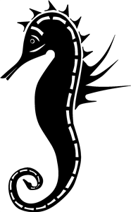 Seahorse