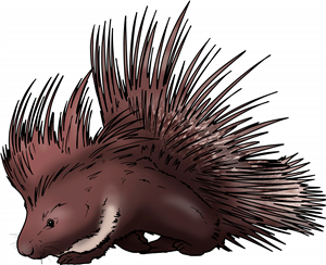 Porcupine