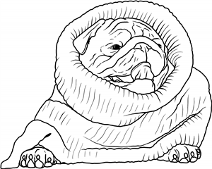 Woolly Jumper Pug